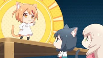 O Dia das Gatinhas