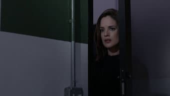 Episódio 13