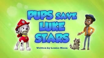 Os Filhotes Salvam o Luke Estrelas
