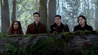 O caso do Bosque Alto