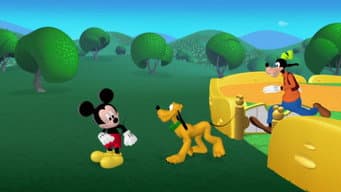 O Piquenique da Minnie