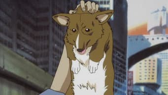 Stray dog strut