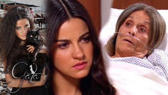 Episódio 20