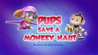 Os filhotes salvam um macaco-nauta