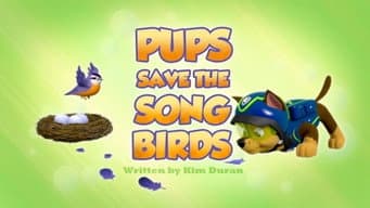 Os Filhotes Salvam as Aves Canoras