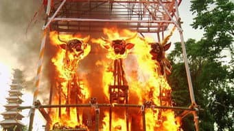 Alienígenas e os Rituais Miesteriosos