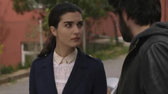Episódio 7