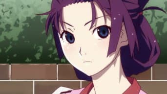 Tsubasa Cat 2
