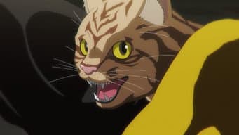 Tudo vira gato