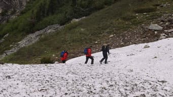 Fãs Contra Bear