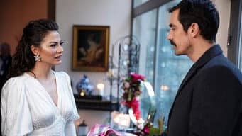 Episódio 8