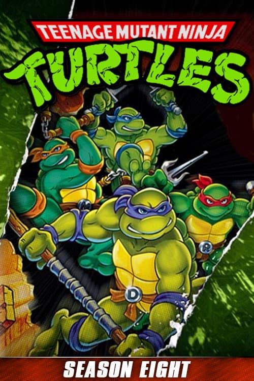 As Tartarugas Ninjas