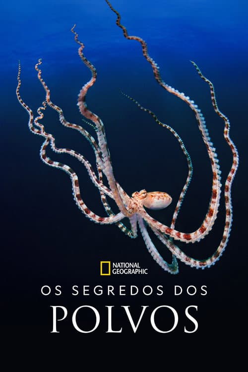 Segredos dos Polvos