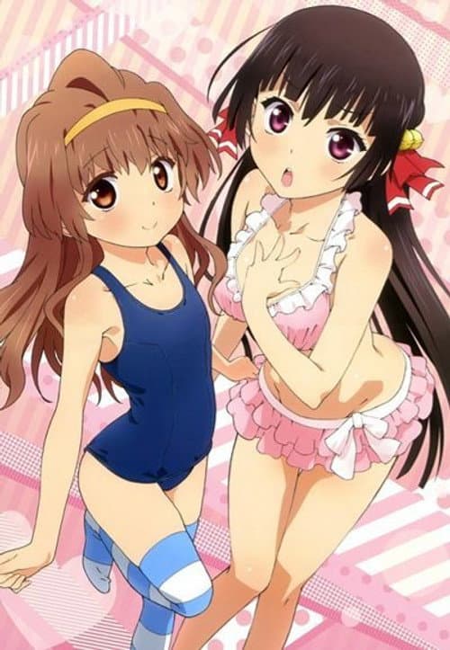 Onii-chan Dakedo Ai sae Areba Kankei nai yo ne