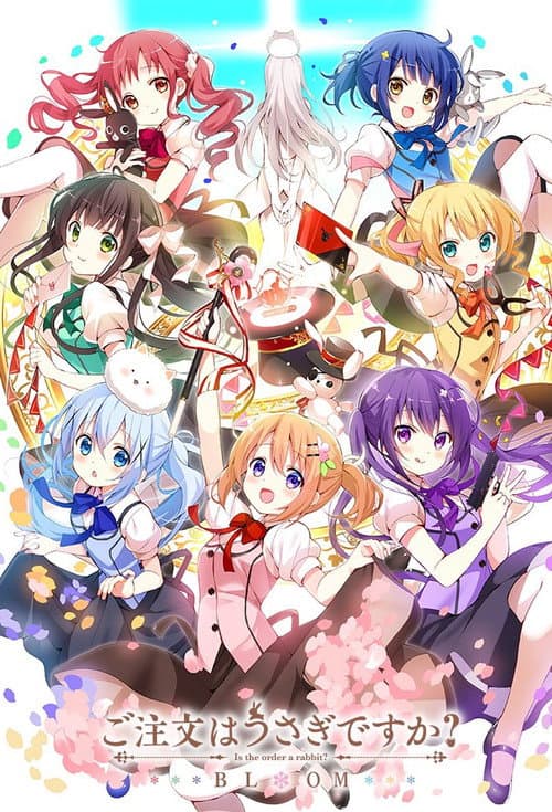 Is the Order a Rabbit?