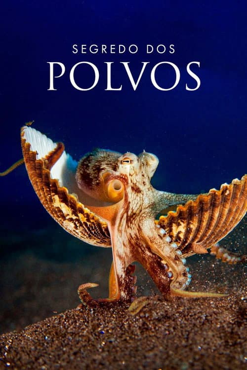 Segredos dos Polvos