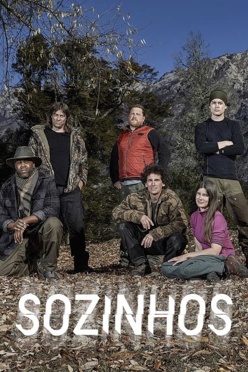 Sozinhos
