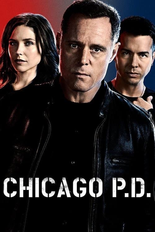 Chicago P.D.: Distrito 21