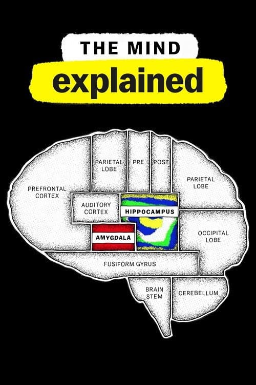 Explicando: A Mente