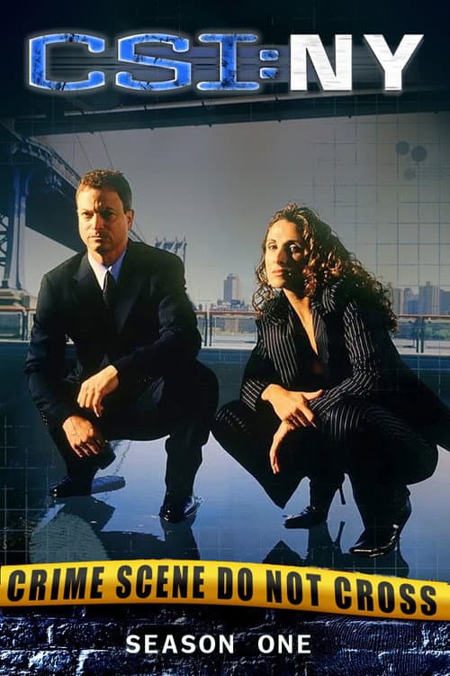 CSI: Nova York