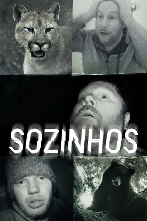 Sozinhos