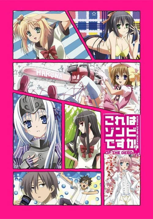 Kore wa Zombie Desu ka?