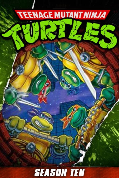 As Tartarugas Ninjas