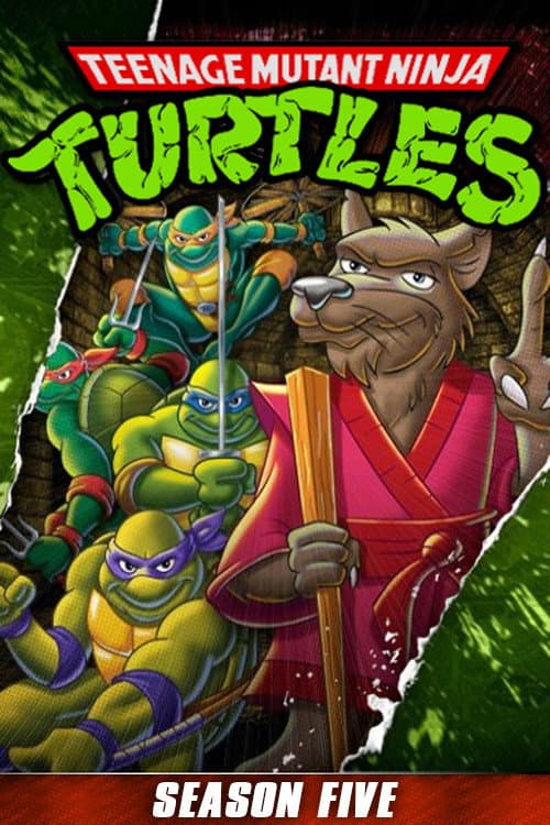 As Tartarugas Ninjas