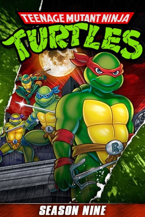 As Tartarugas Ninjas