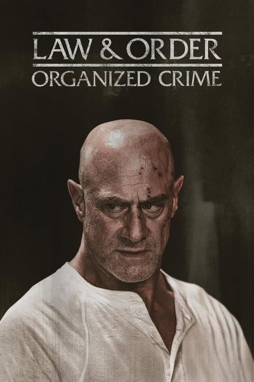 Law & Order: Crime Organizado