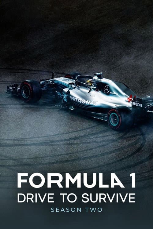 F1: Dirigir para Viver