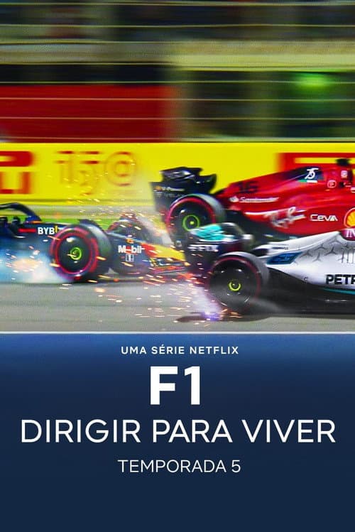 F1: Dirigir para Viver