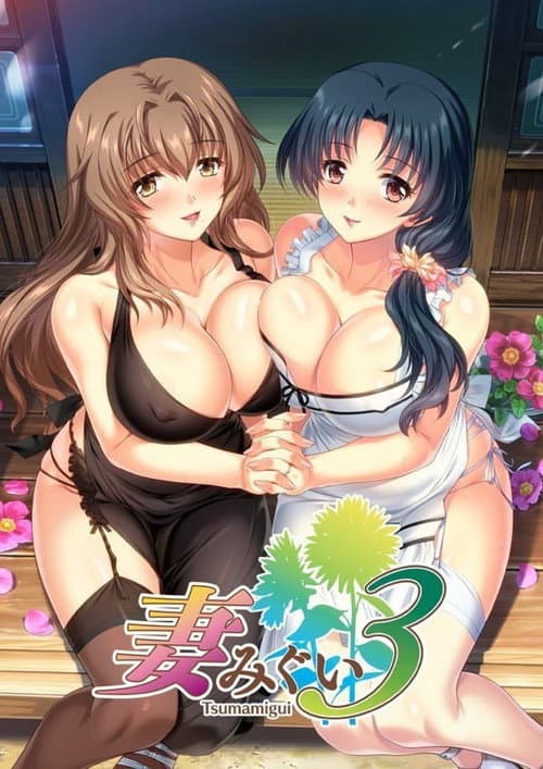妻みぐい3 THE ANIMATION