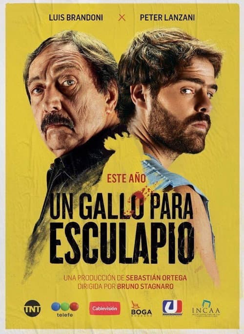 Um Galo para Escapulário