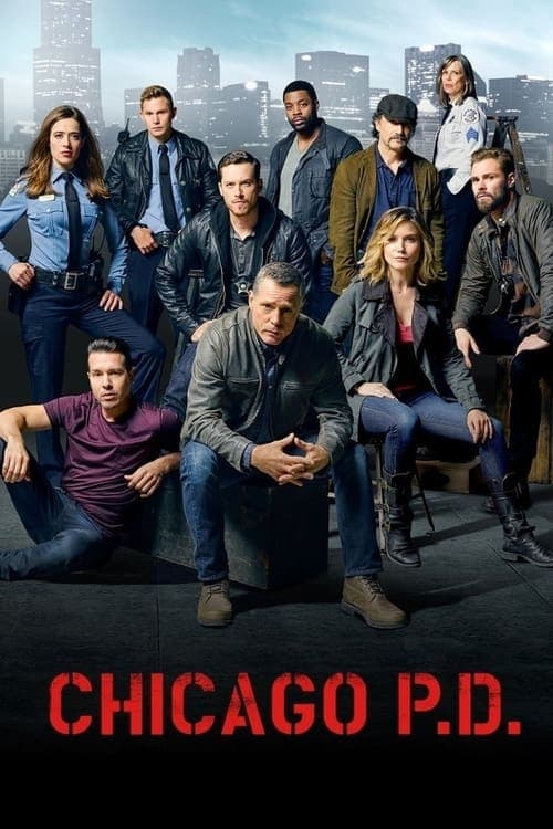 Chicago P.D.: Distrito 21