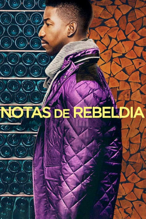 Notas de Rebeldia