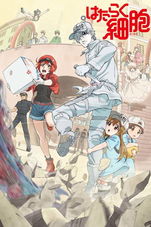 Cells at Work!