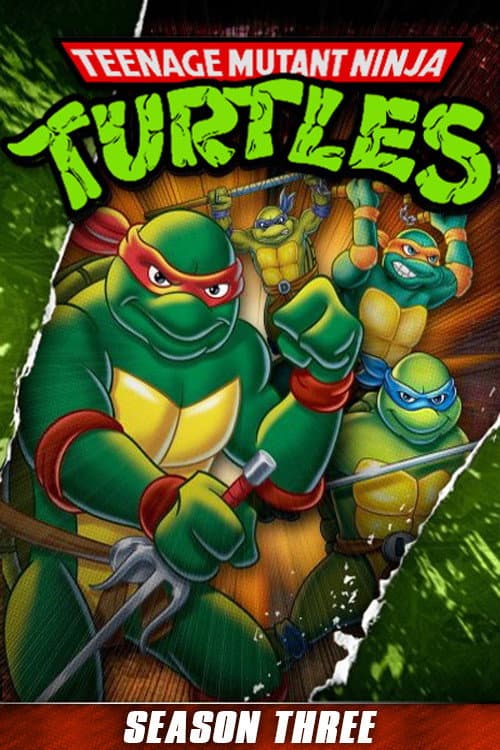 As Tartarugas Ninjas