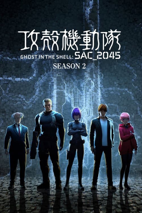 Ghost in the Shell: SAC_2045