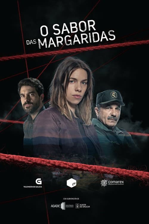 O sabor das margaridas