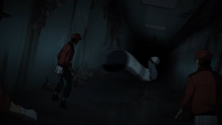 Episódio 13