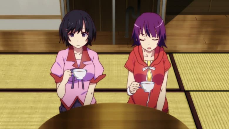 [34] Nekomonogatari [Shiro] [3] Tsubasa Tiger - Parte 3