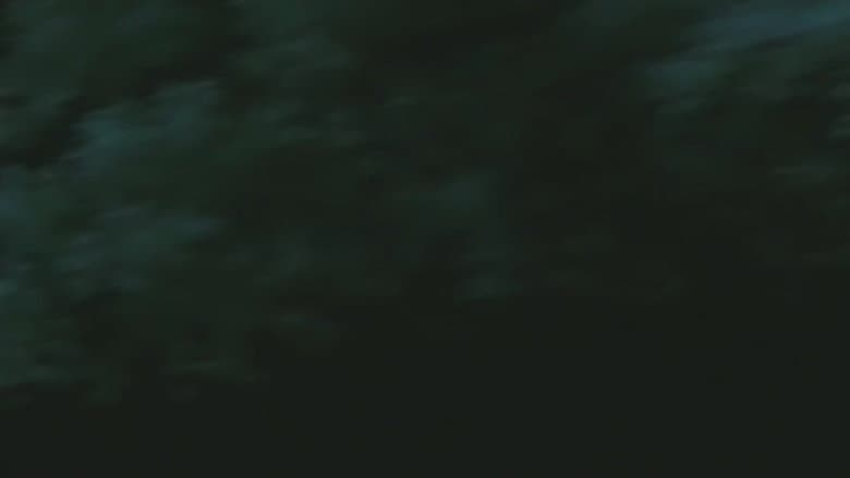 Contagem Regressiva Para o Acidente
