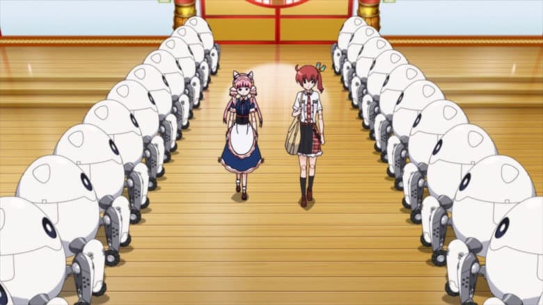 Episódio 5