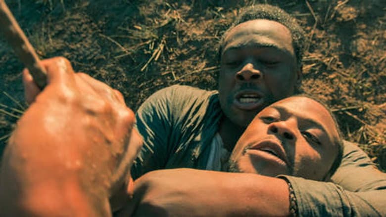 Episódio 8