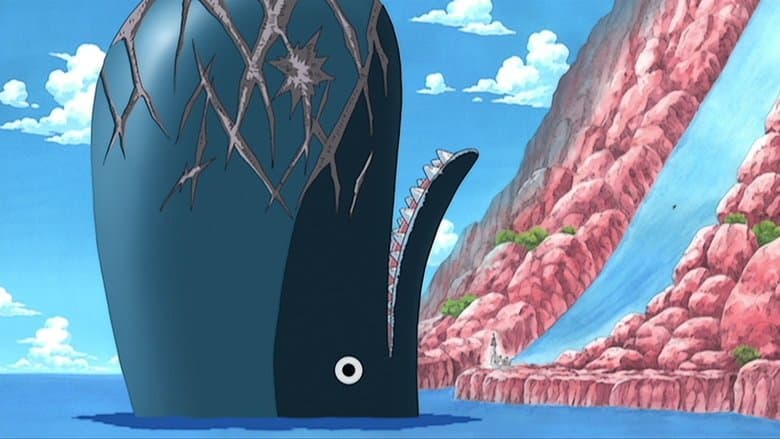 O primeiro forte! Surge Laboon, a baleia gigantesca!