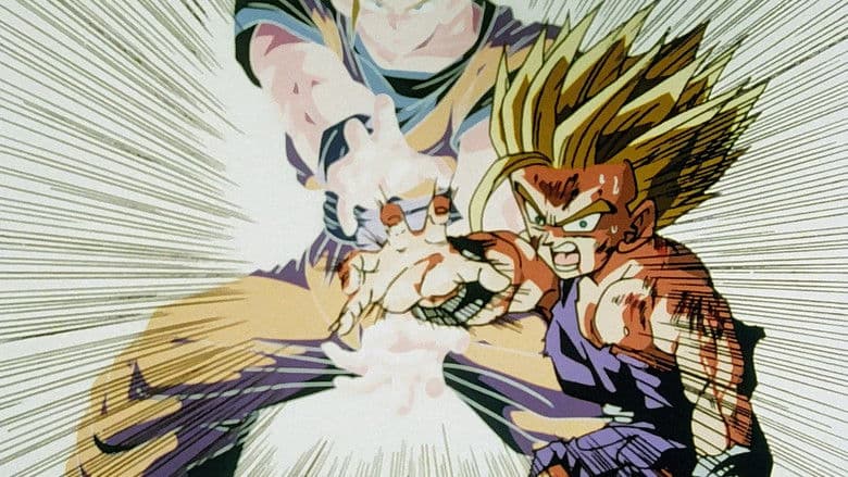 Uma Mensagem Para Gohan!