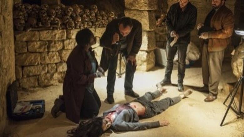 Episódio 8