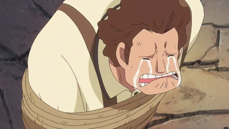Uma Frente Unida! O Progresso de Luffy Rumo à Vitória!