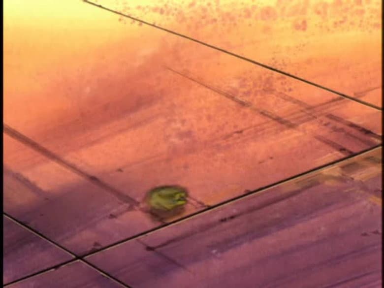 Episódio 44